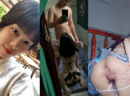 Chim anh dài lại còn cong nữa